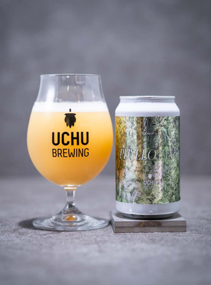 Uchu Brewing / PHYLLOTAXIS 350ml | BUBBLES